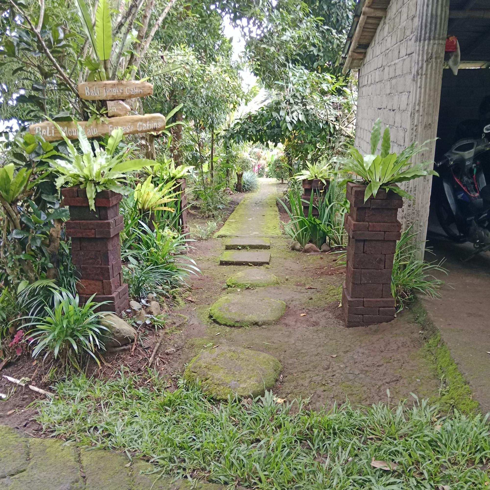 Bali Mountain Forest Cabin Penebel Exterior photo