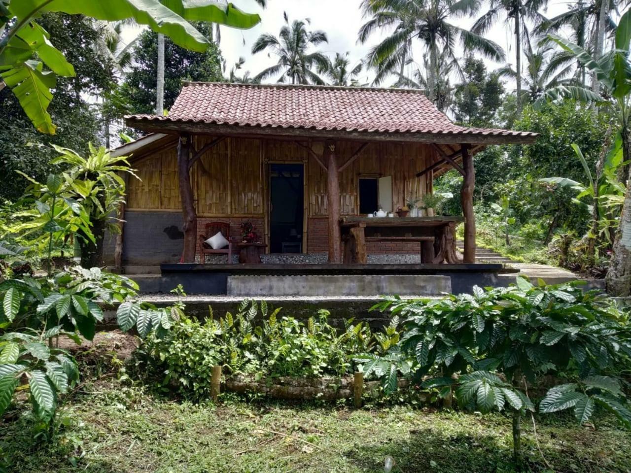 Bali Mountain Forest Cabin Penebel Exterior photo