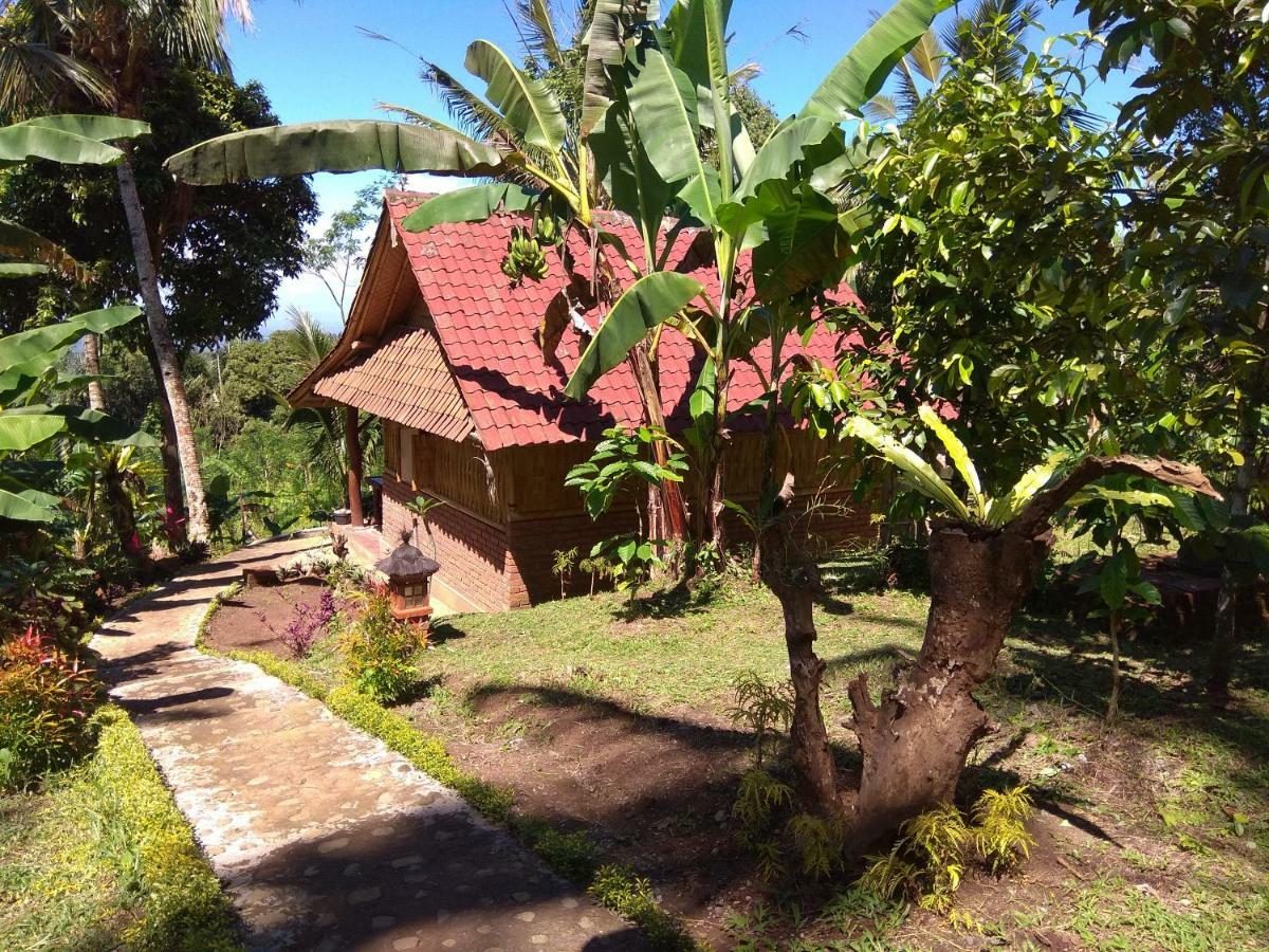 Bali Mountain Forest Cabin Penebel Exterior photo